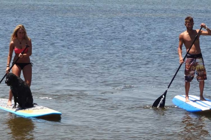 a group of people riding on the back of a boat in the water